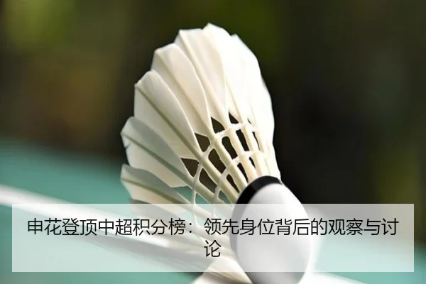 申花登顶中超积分榜：领先身位背后的观察与讨论